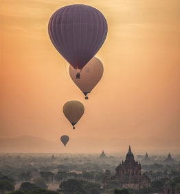 中华人民共和国植物新品种保护条例